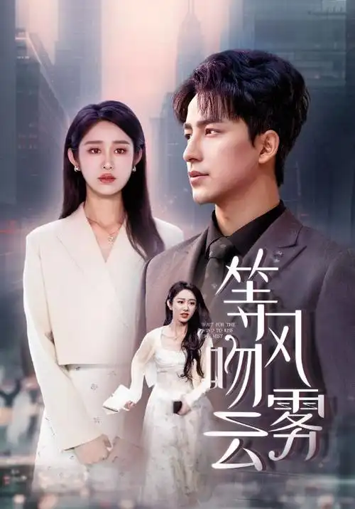 漫蛙正版热播剧集雾港回声